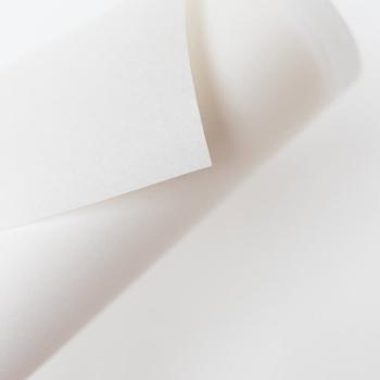 Preview: SULKY TEAR AWAY PLUS weiß, 50 cm x 10m